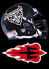 San Jose Demons Helmet